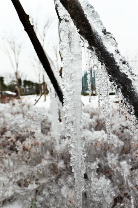 一場雪，體育中心美得不要不要的 但最美的風(fēng)景還是他們(圖4)