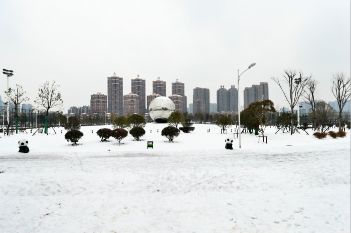 一場雪，體育中心美得不要不要的 但最美的風(fēng)景還是他們(圖2)