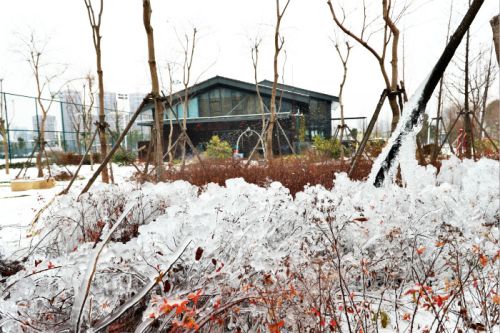 一場雪，體育中心美得不要不要的</br>但最美的風景還是他們(圖2)